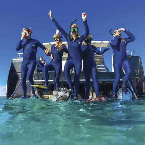 whale shark tours