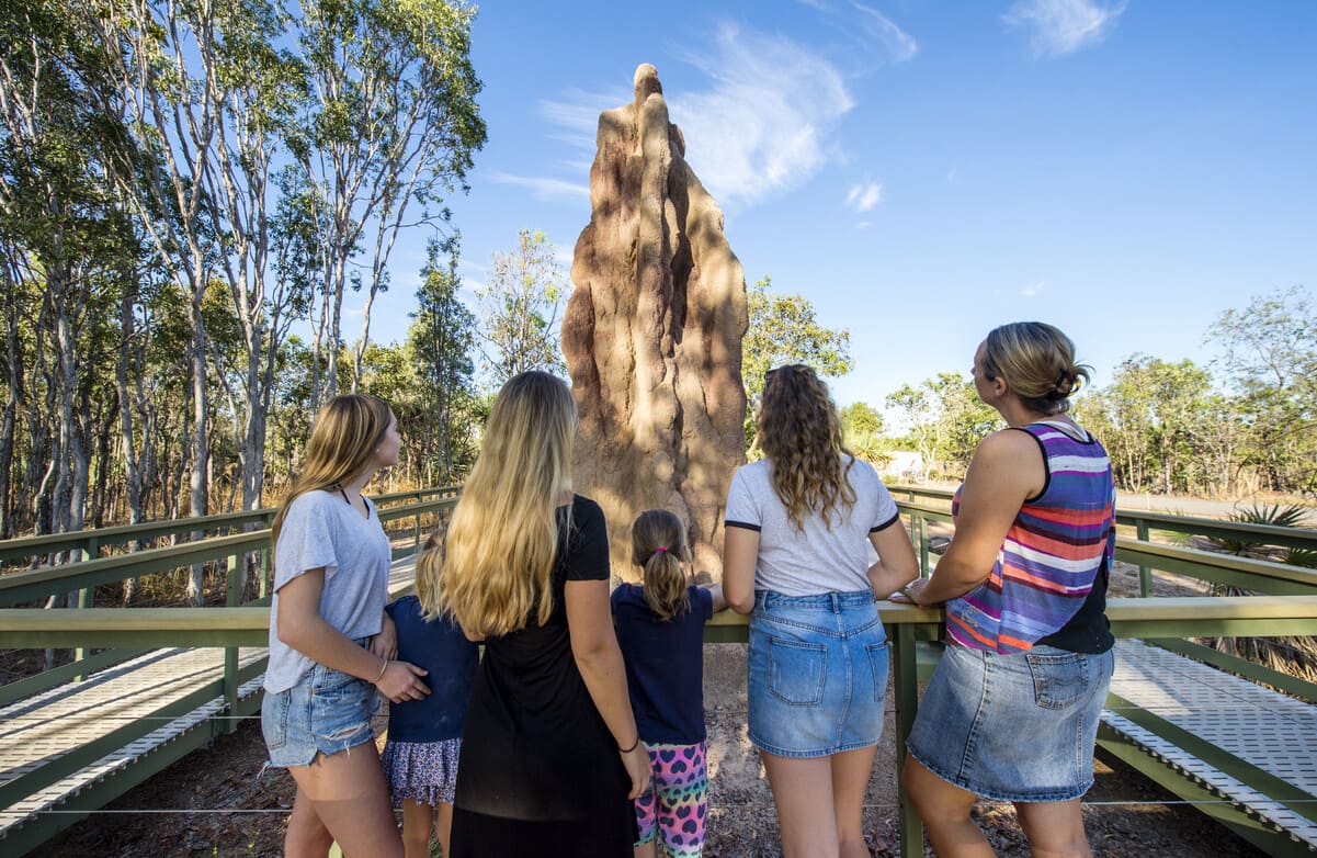 litchfield tours