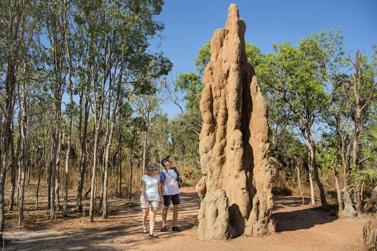 tours to litchfield national park