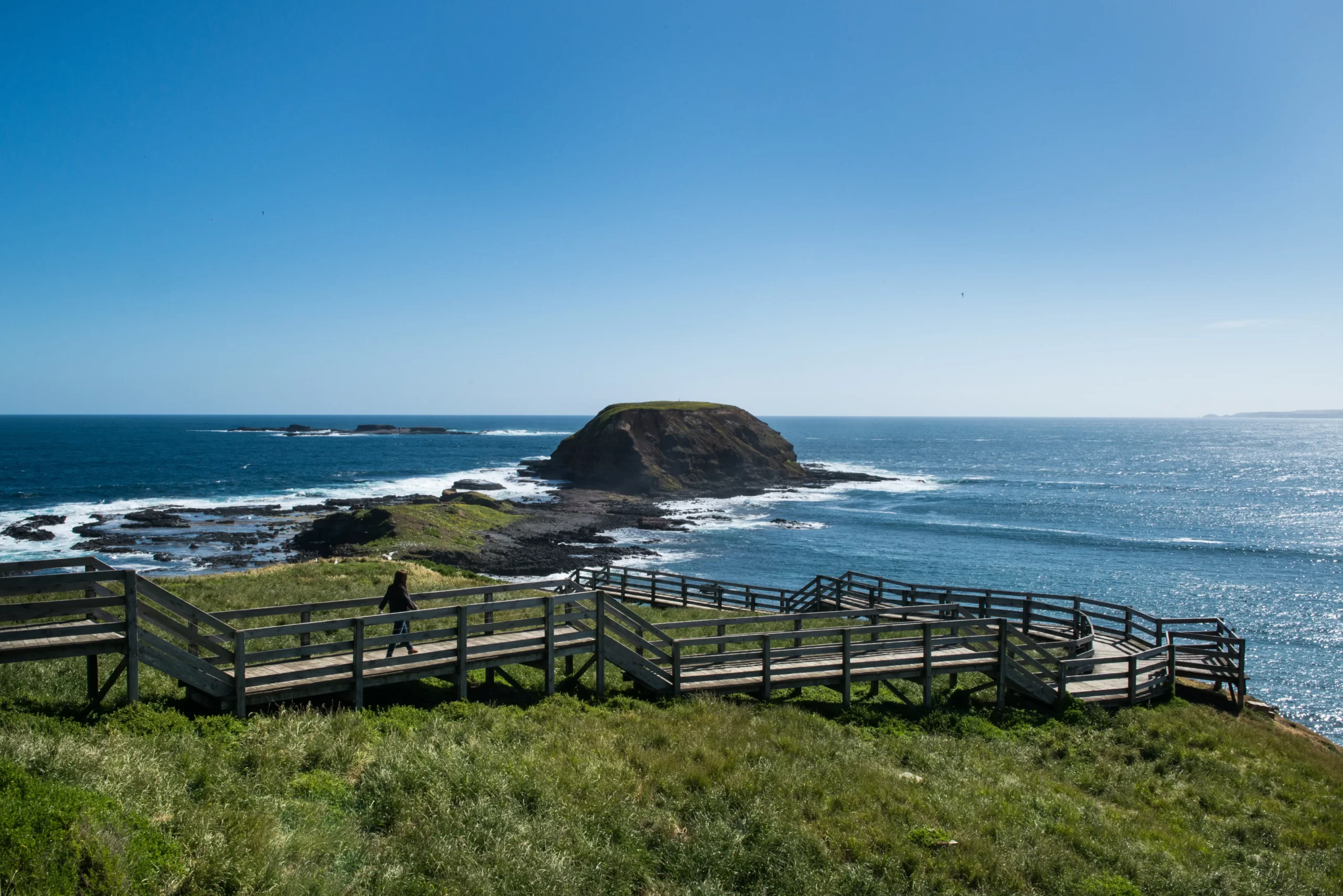 phillip island day trip