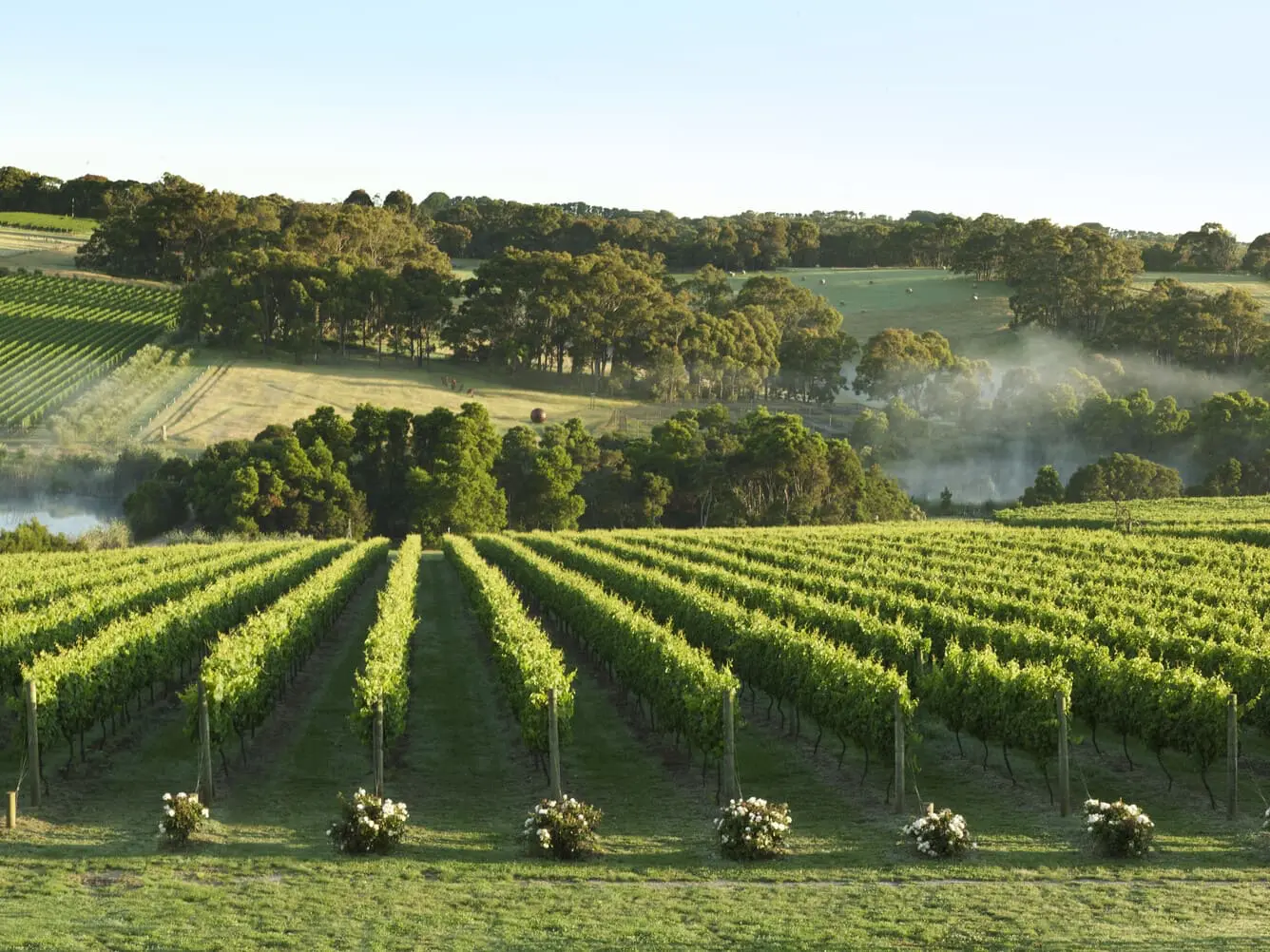peninsula wine tours
