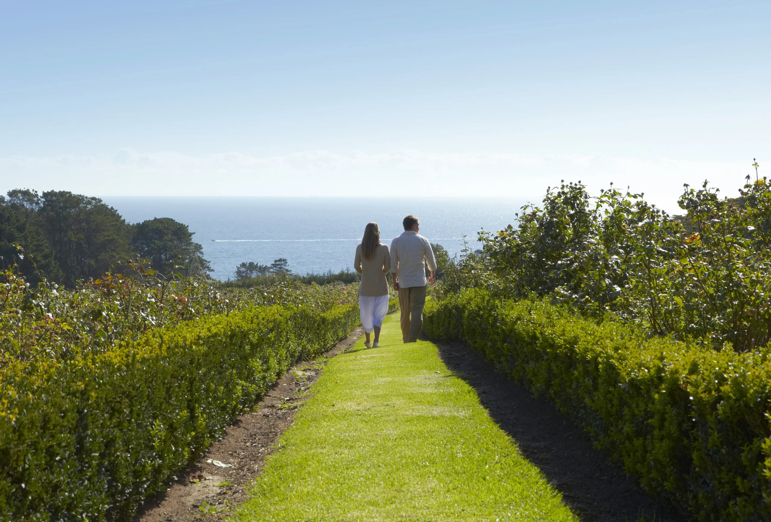 winery tour mornington peninsula