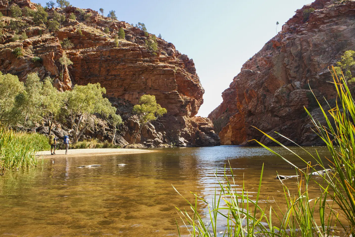 alice springs to uluru tours