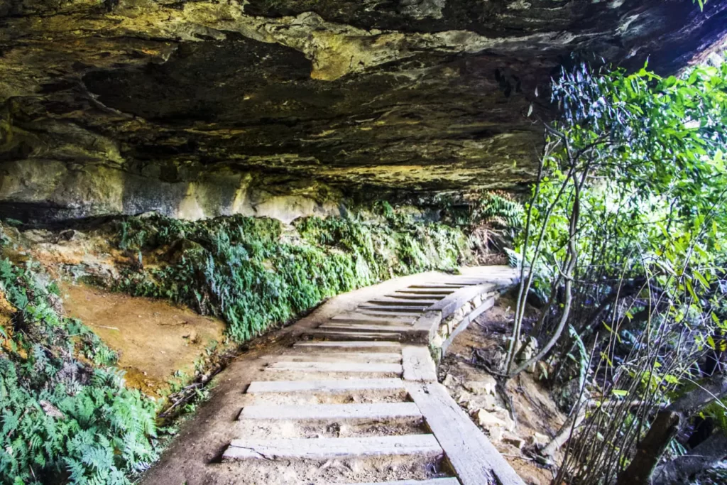 blue mountains tours