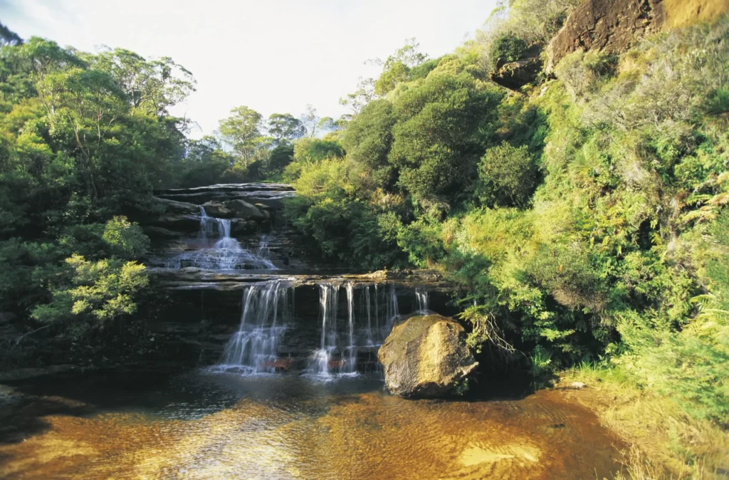 blue mountains day tours
