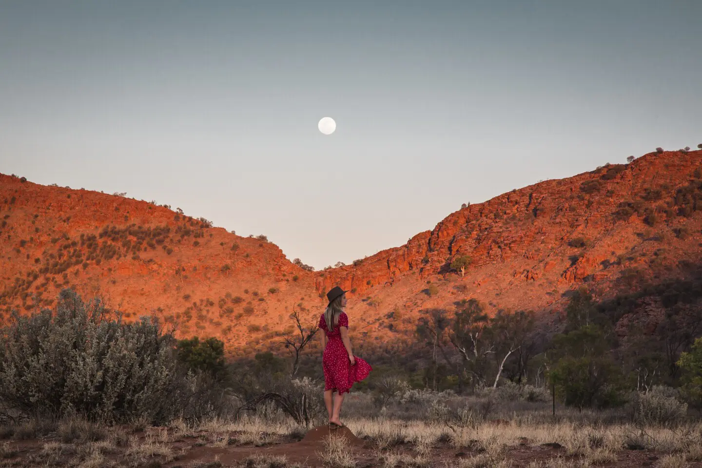 tours from alice springs to uluru