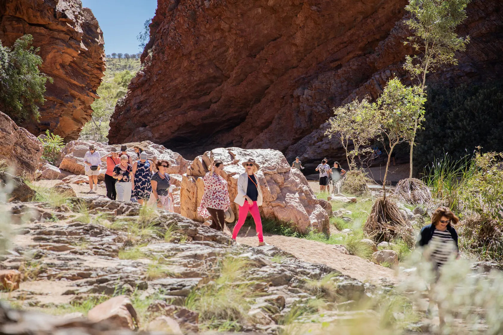 ayers rock tours from alice springs