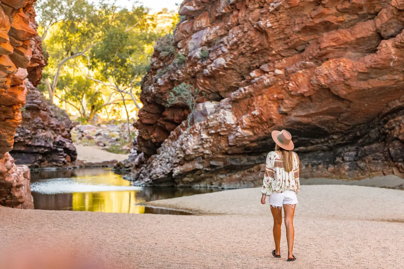 tours alice springs to uluru