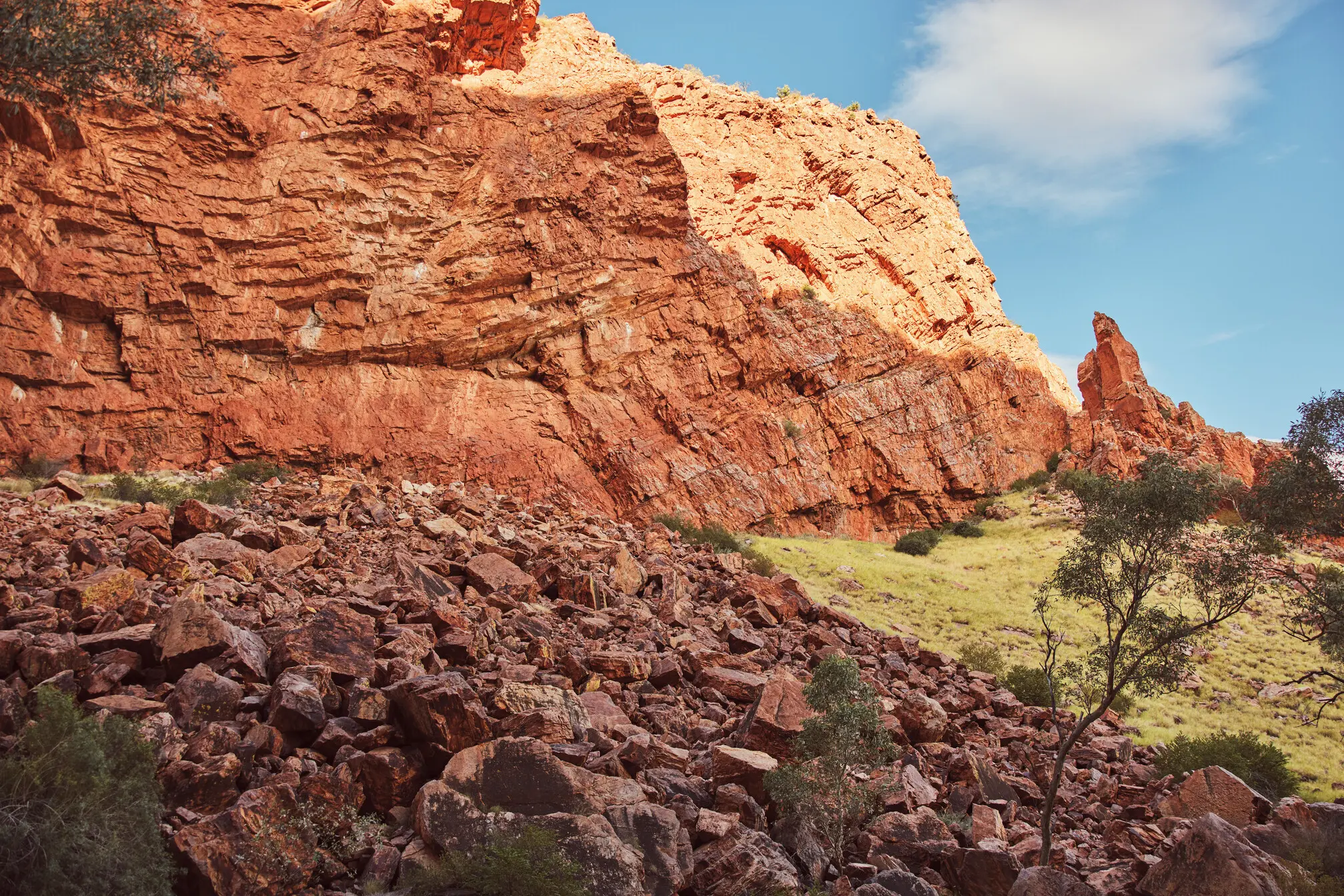 trips to uluru from alice springs