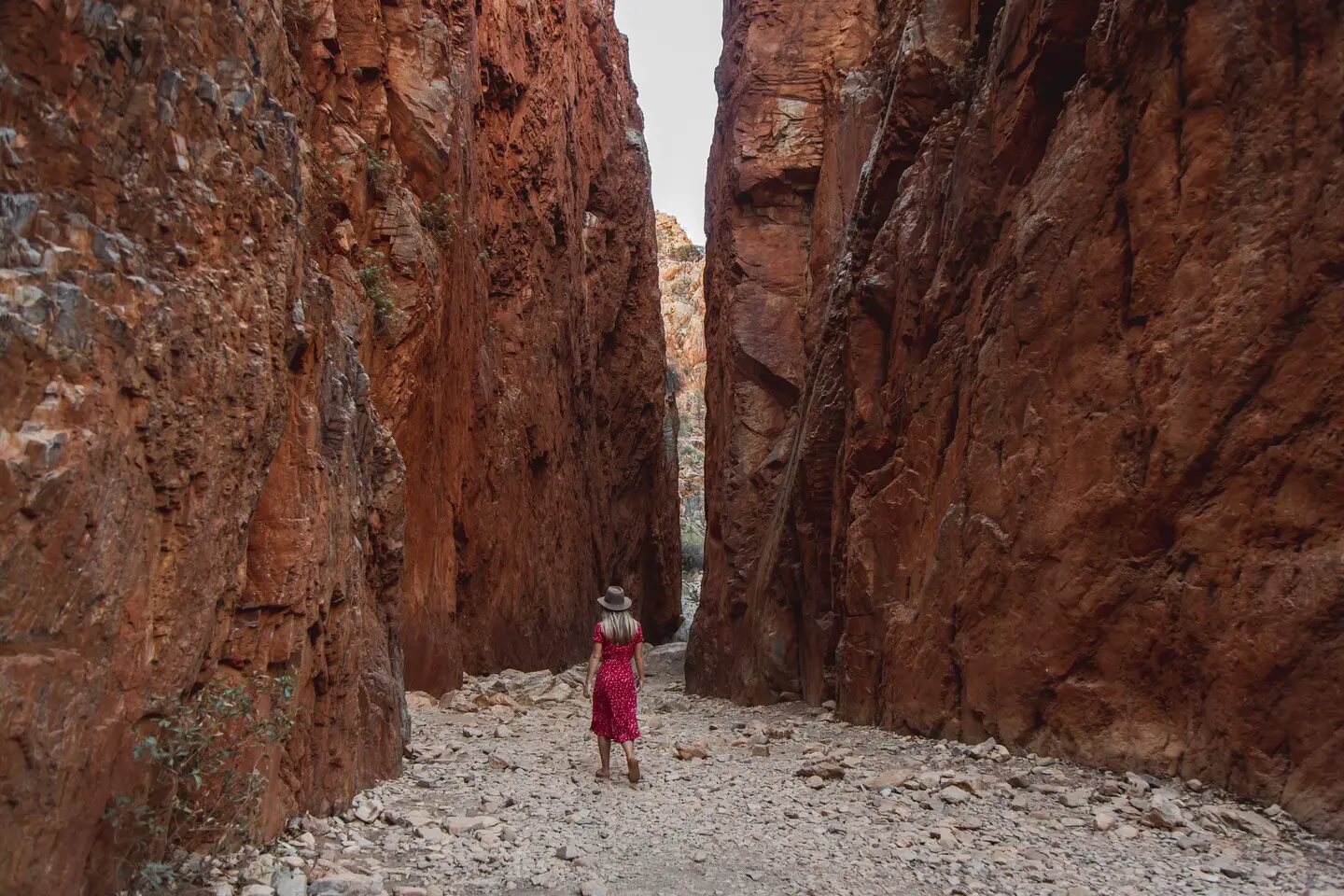 tours to alice springs and uluru