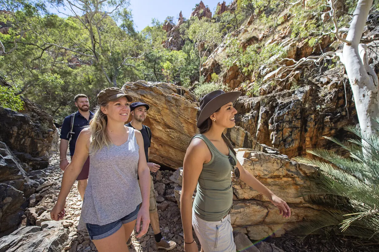 alice springs tours to uluru