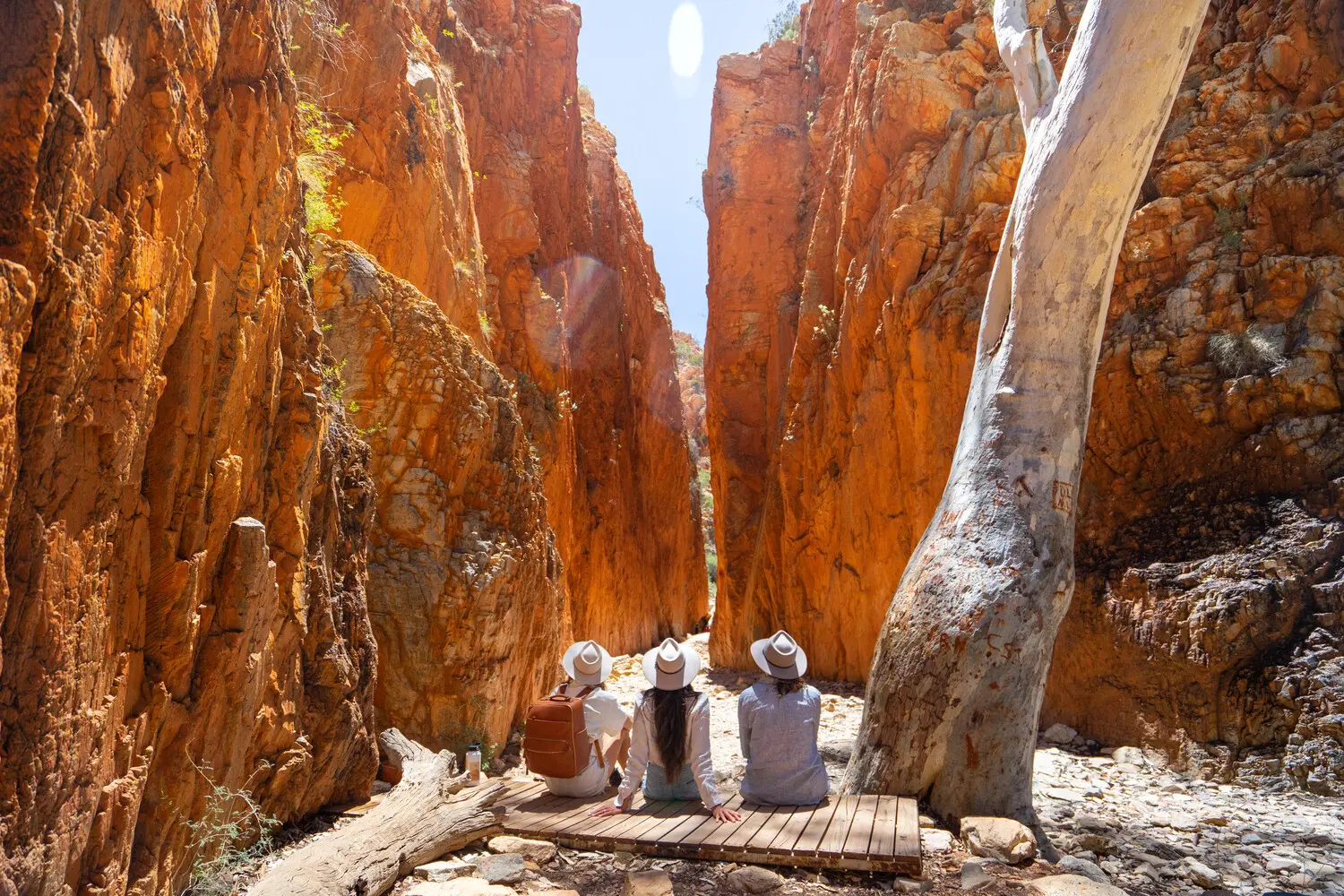 alice springs to uluru tour