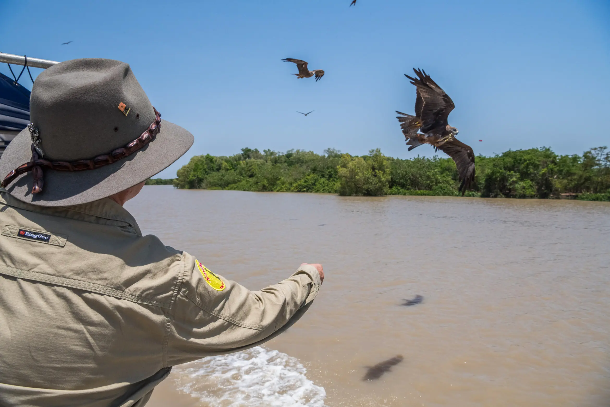 jumping crocs tour