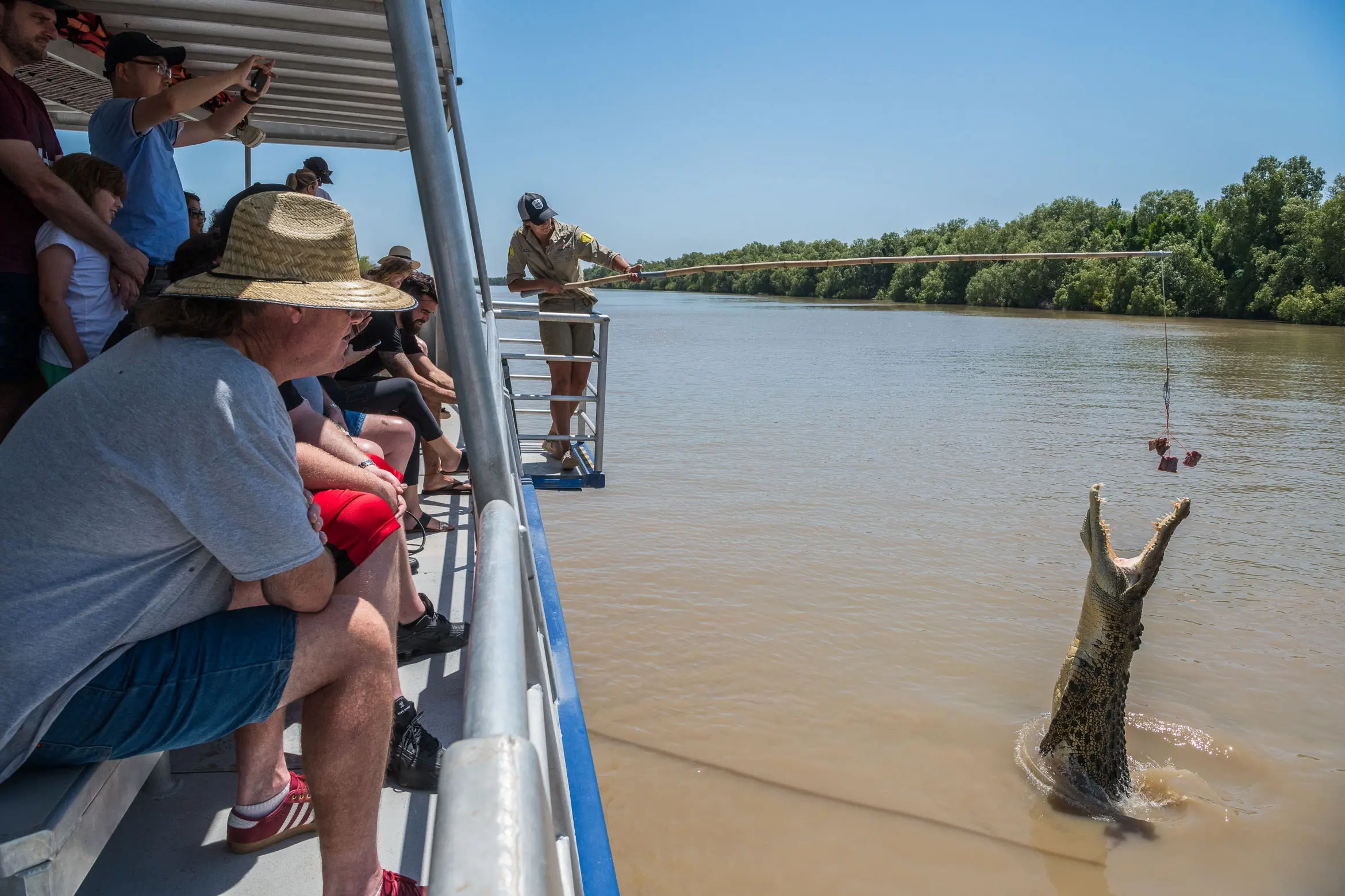 jumping croc tours