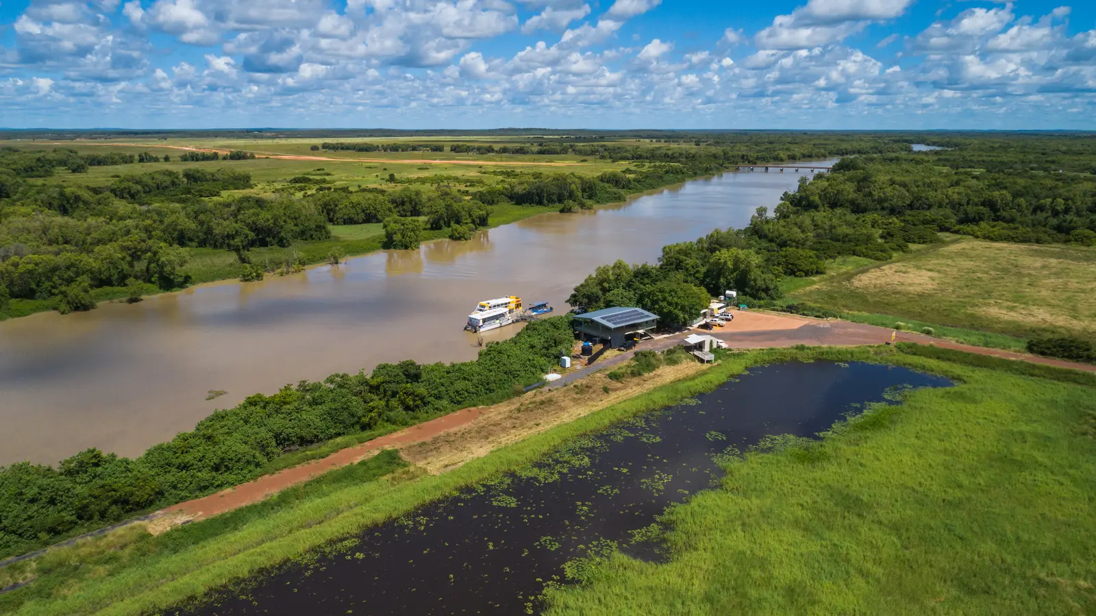 adelai river croc tours