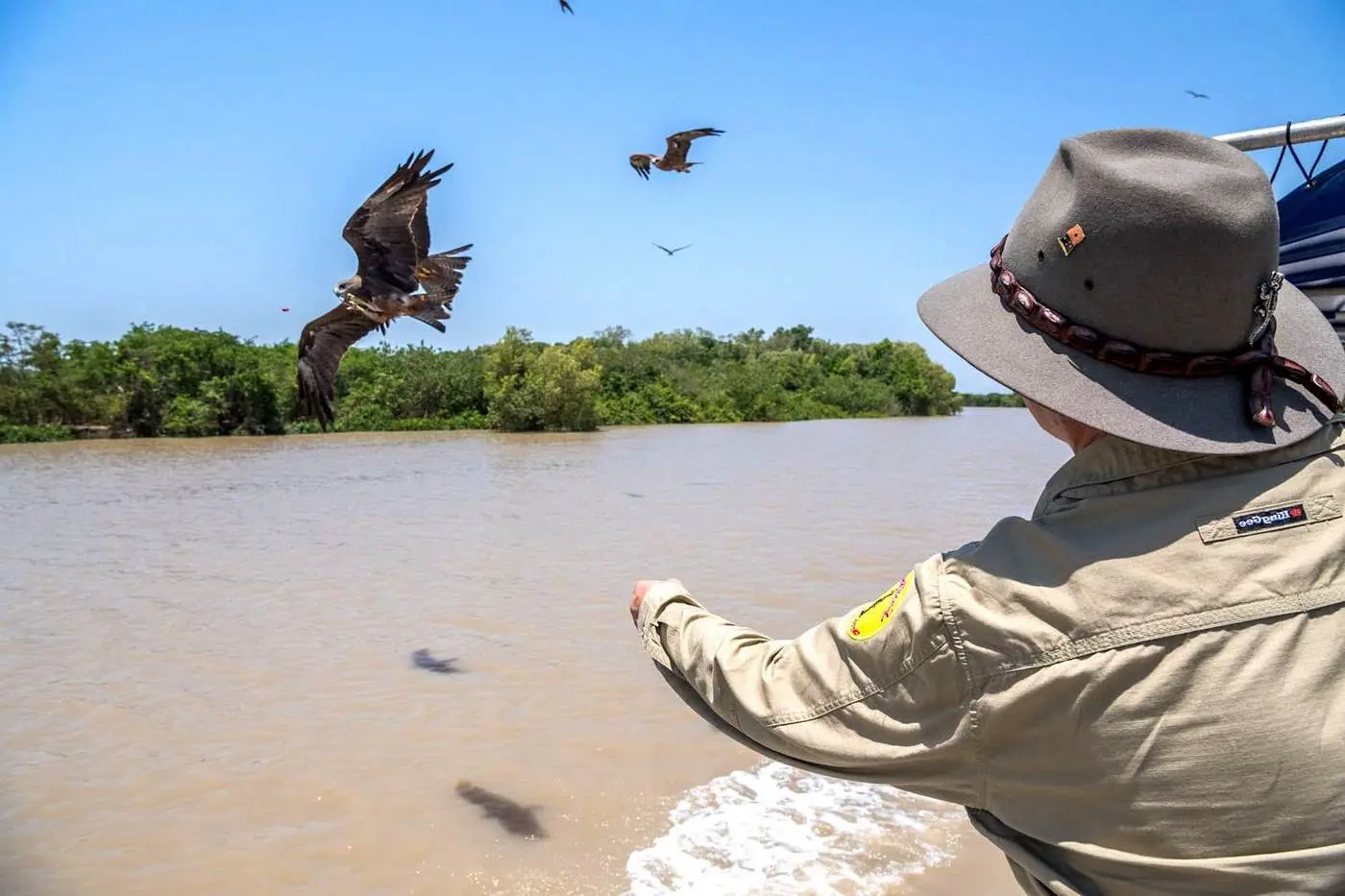 croc tour