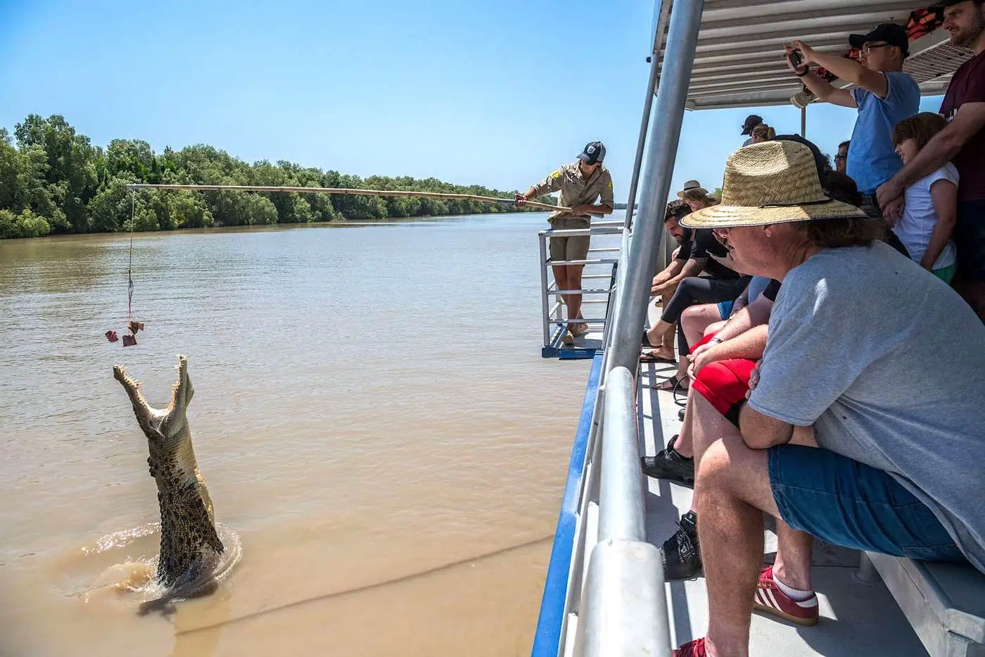 jumping croc tours adelai river