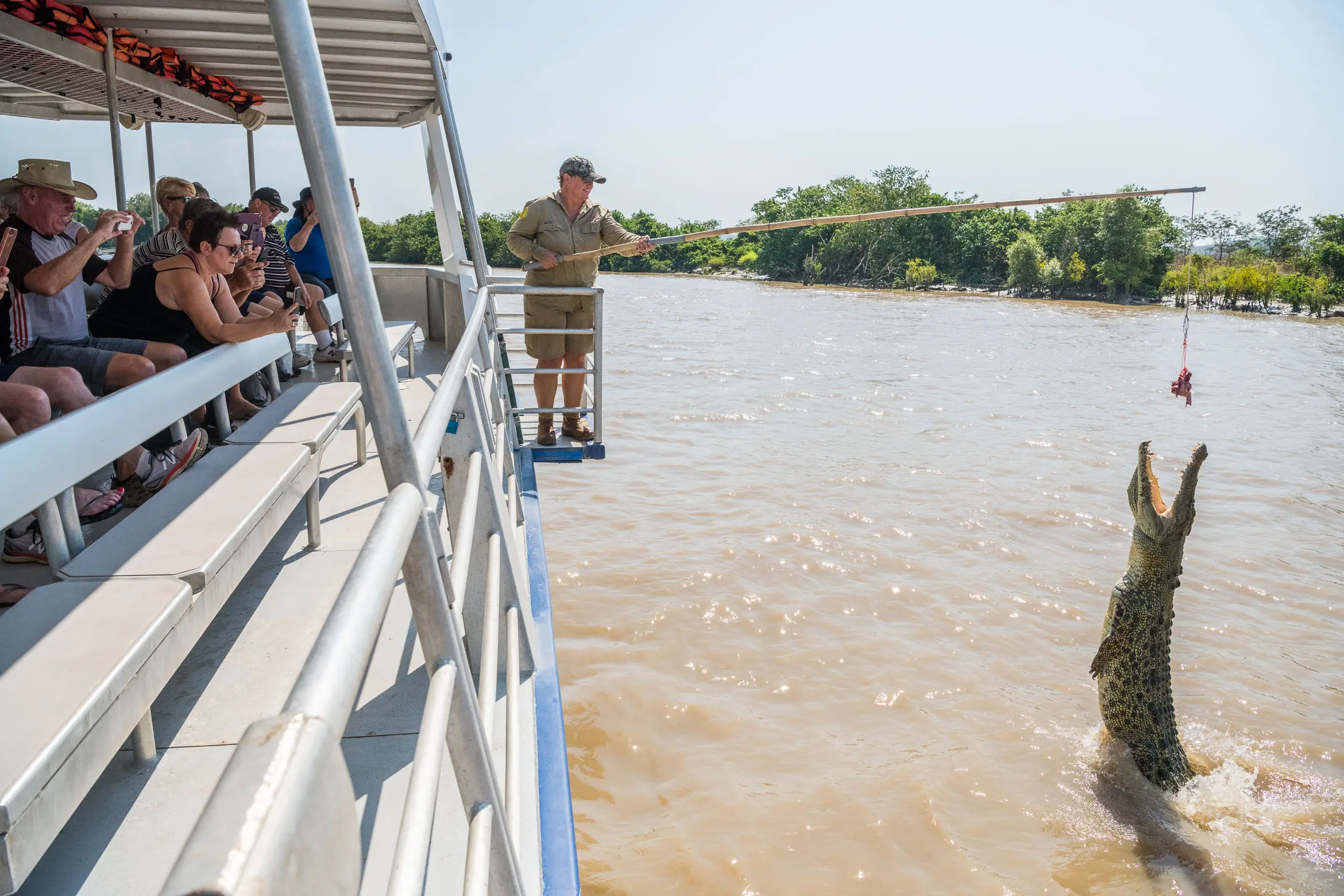 adelai river crocodile tour