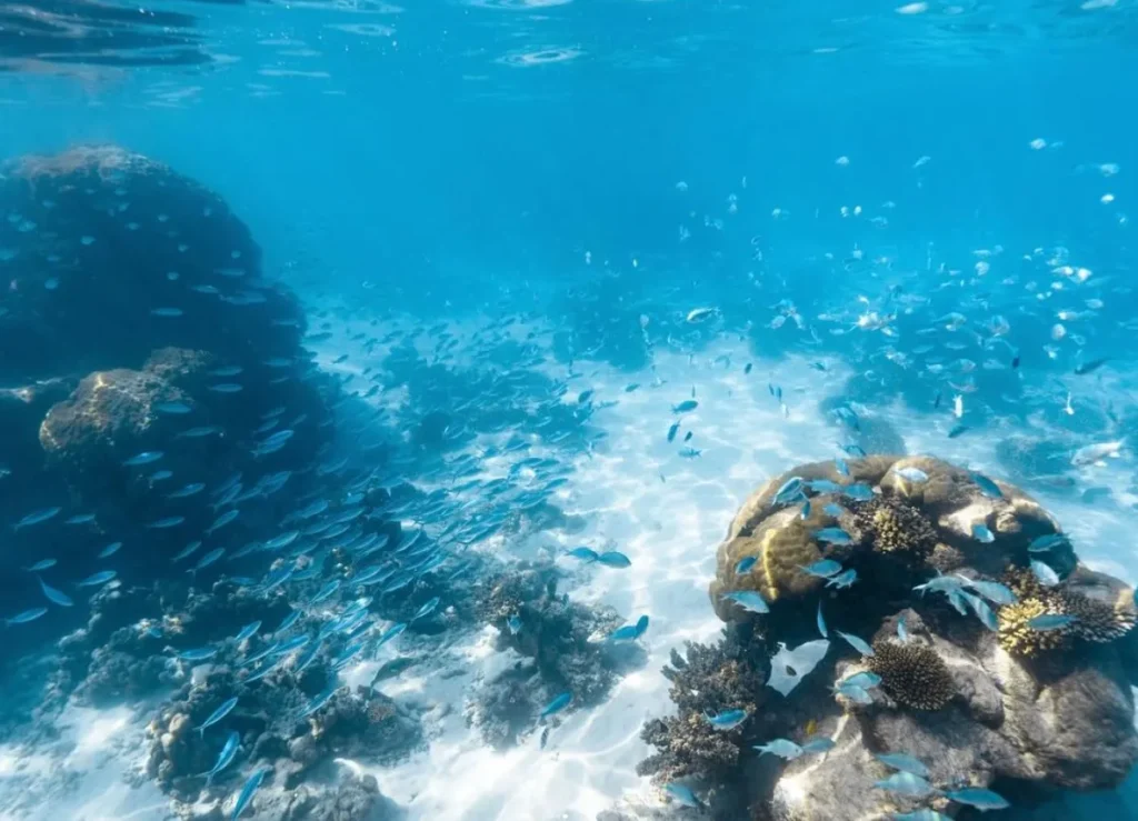 Ningaloo Reef amazing place