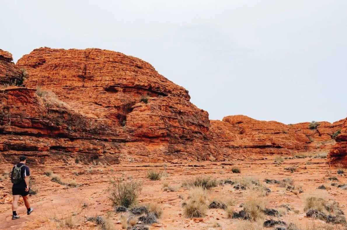 Bushwalking Safety