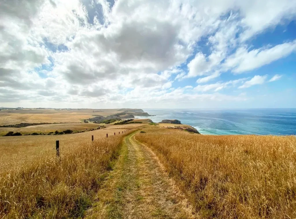 Outdoor Adventures on Phillip Island