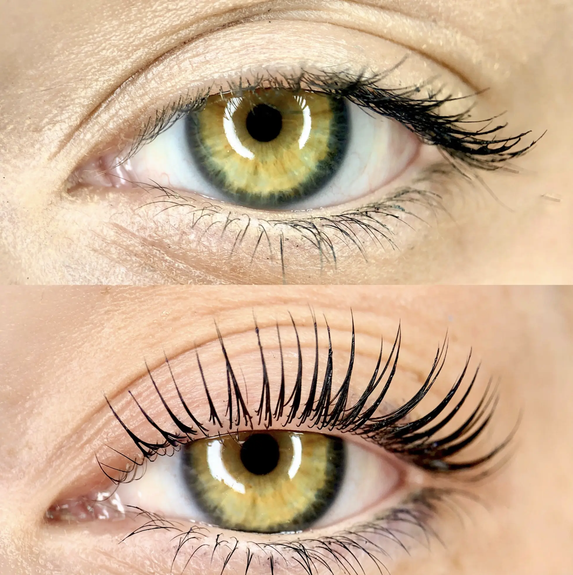 Lash Extensions Brisbane
