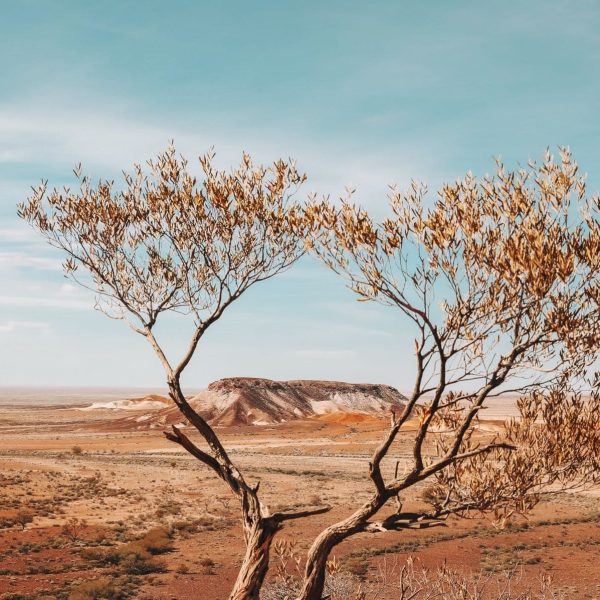 tours uluru