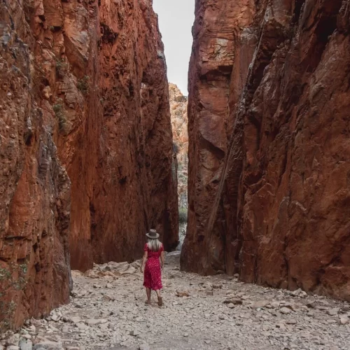 alice springs to uluru tour