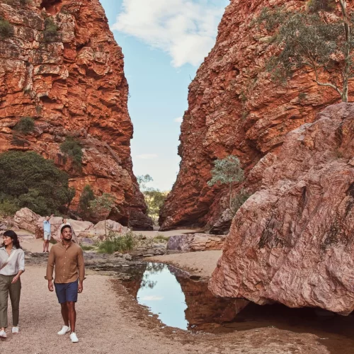 alice springs uluru tour