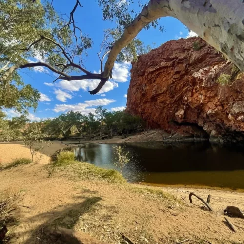 alice springs to uluru tours