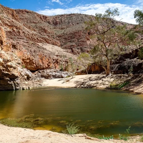 uluru to alice springs tour