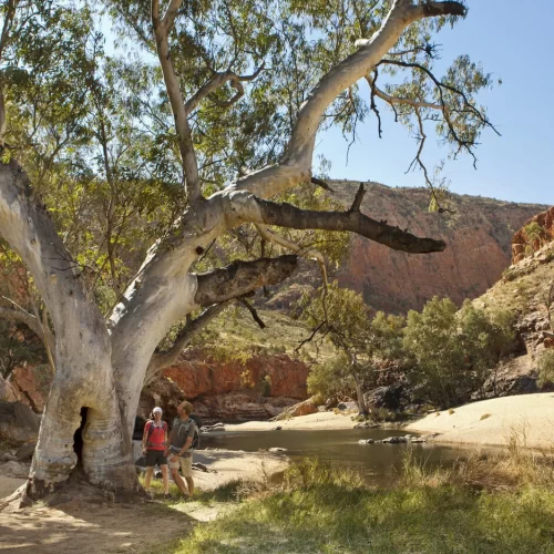 uluru day trip from alice springs