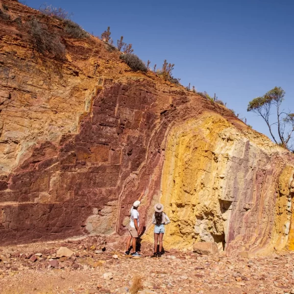 uluru tour